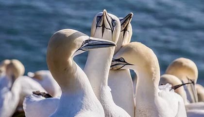 开云入口-全国马拉松联赛启动 多地掀起健跑热潮，全国马拉松赛事报名时间表