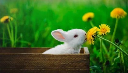 开云APP-莱加内斯客场不敌巴塞罗那，遭遇败绩，莱加内斯vs布尔戈斯