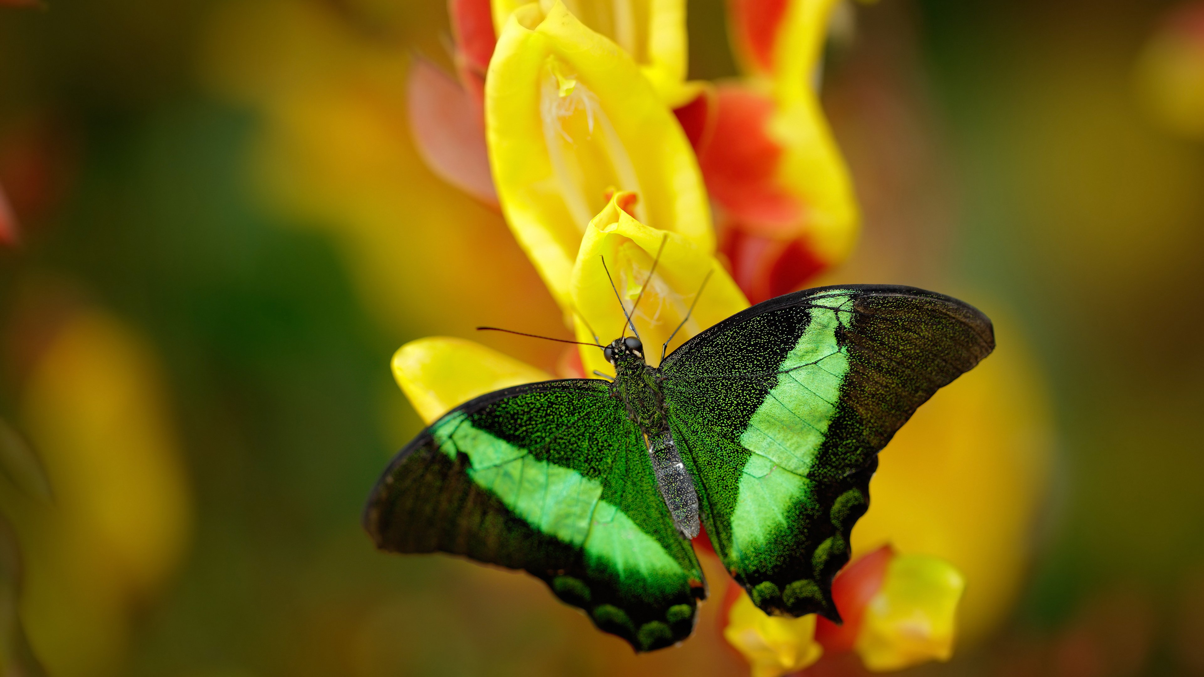 VALORANT 战队实力排名变化明显，valorant比赛规则