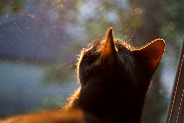 _未来运动:脑波控制系统助力训练_,脑波训练是真是假