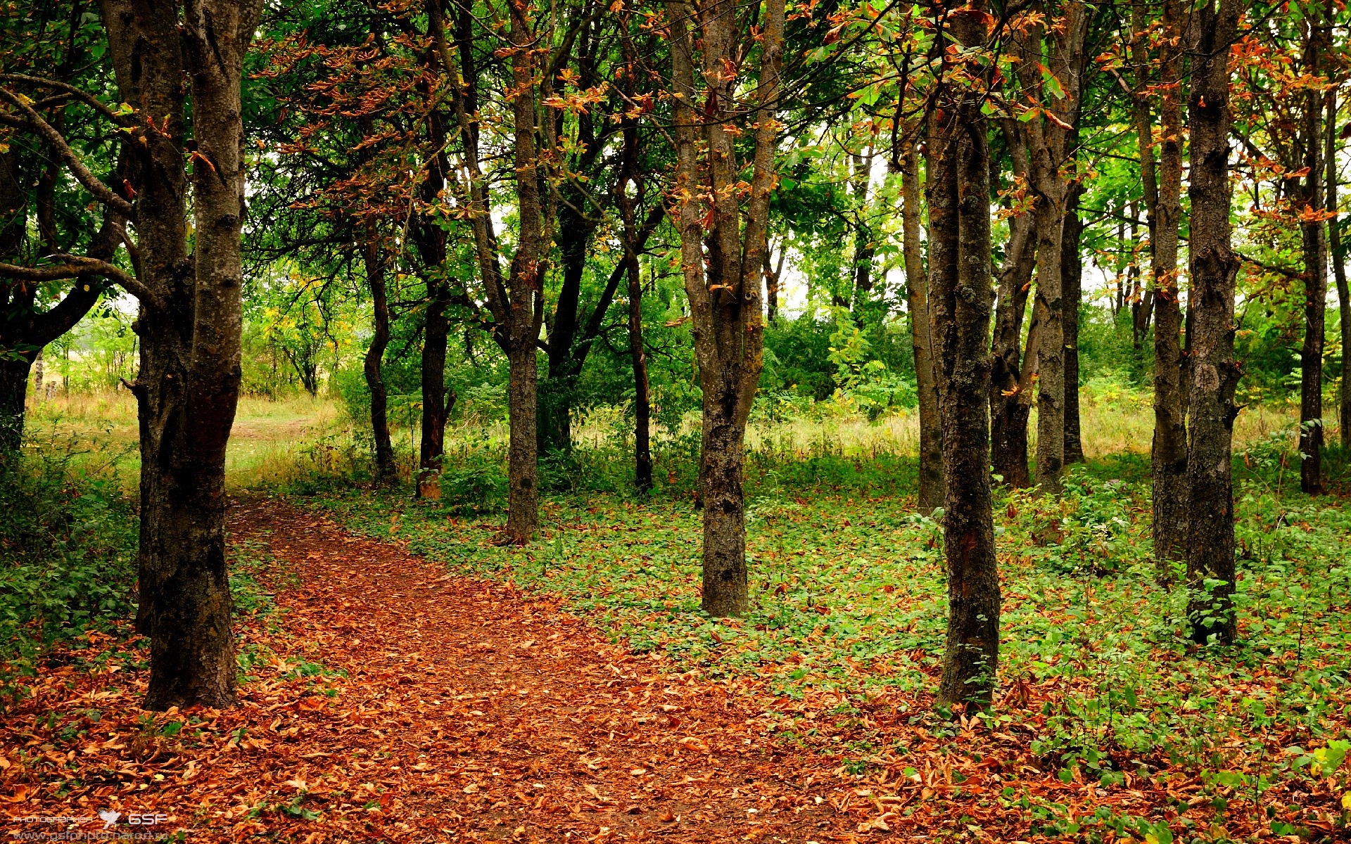 开云kaiyun-_本年度网球赛事回顾：那些令人难忘的瞬间_，网球赛事欣赏