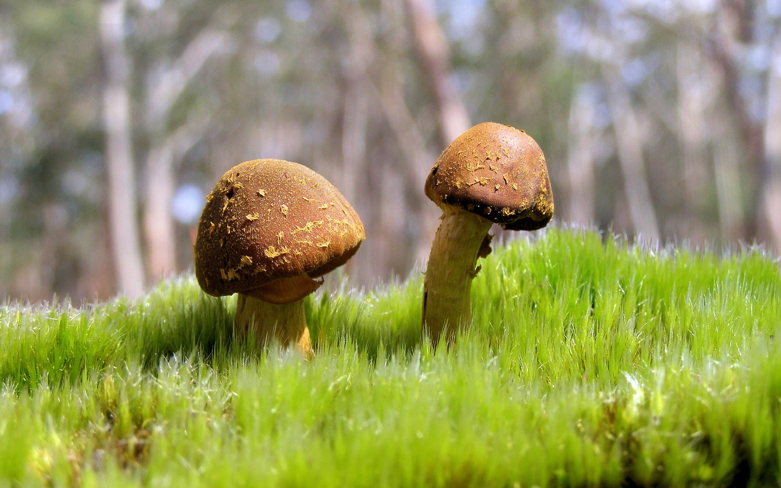 【战术演练】马克·塞尔比：利用“钢铁防守”逼退对手的绝技，马克·塞尔尼