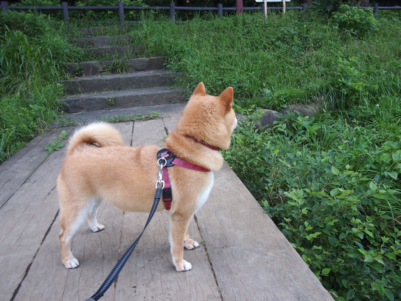 开云体育中国官网-【战术艺术】马克·塞尔比：用细腻的防守策略赢得胜利，马克塞尔比厉害吗