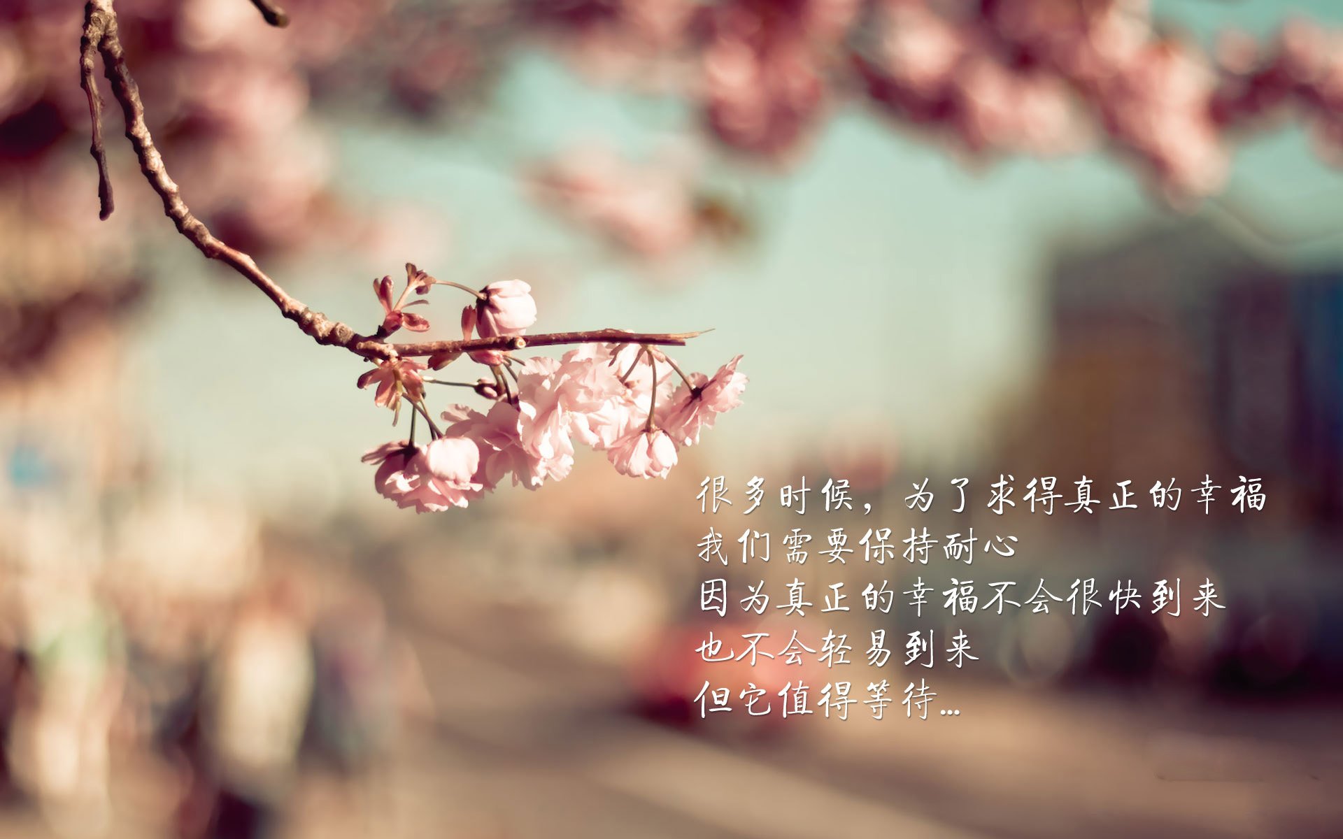 KAIYUN 中国大陆-爵士队补强阵容，晋级希望更进一步，爵士队最新队员名单