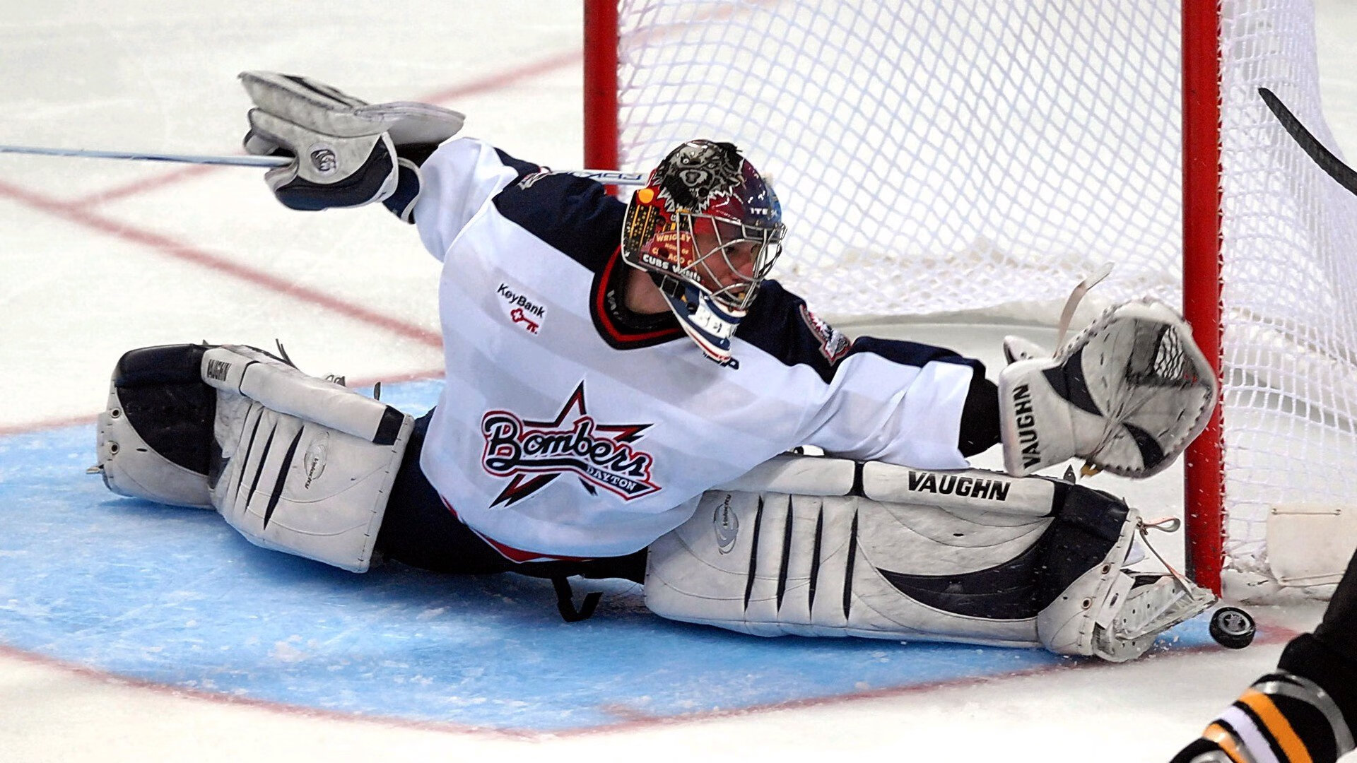 kaiyun-野外生存技能运动会，体验自然的考验，野外生存活动