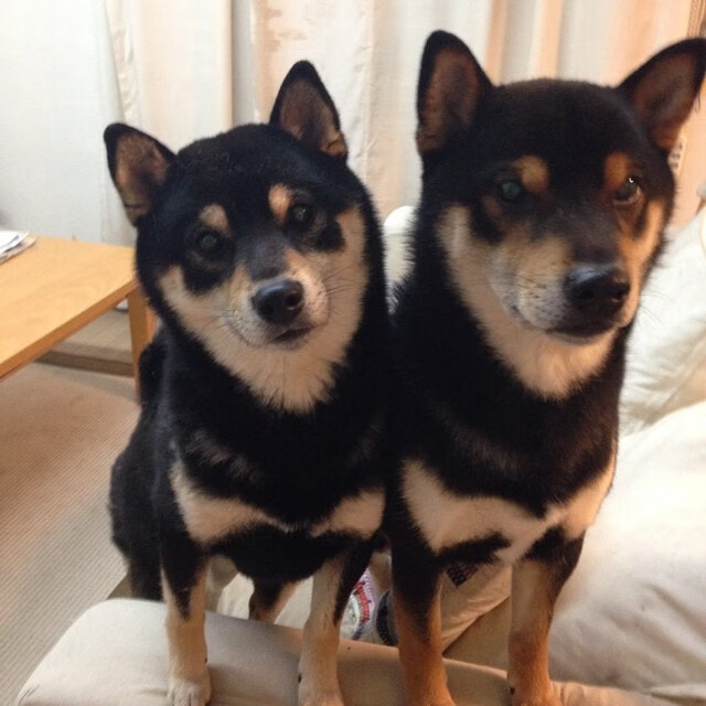 克鲁阵容年轻有活力，铁路军团逐步崛起，克鲁尔cs