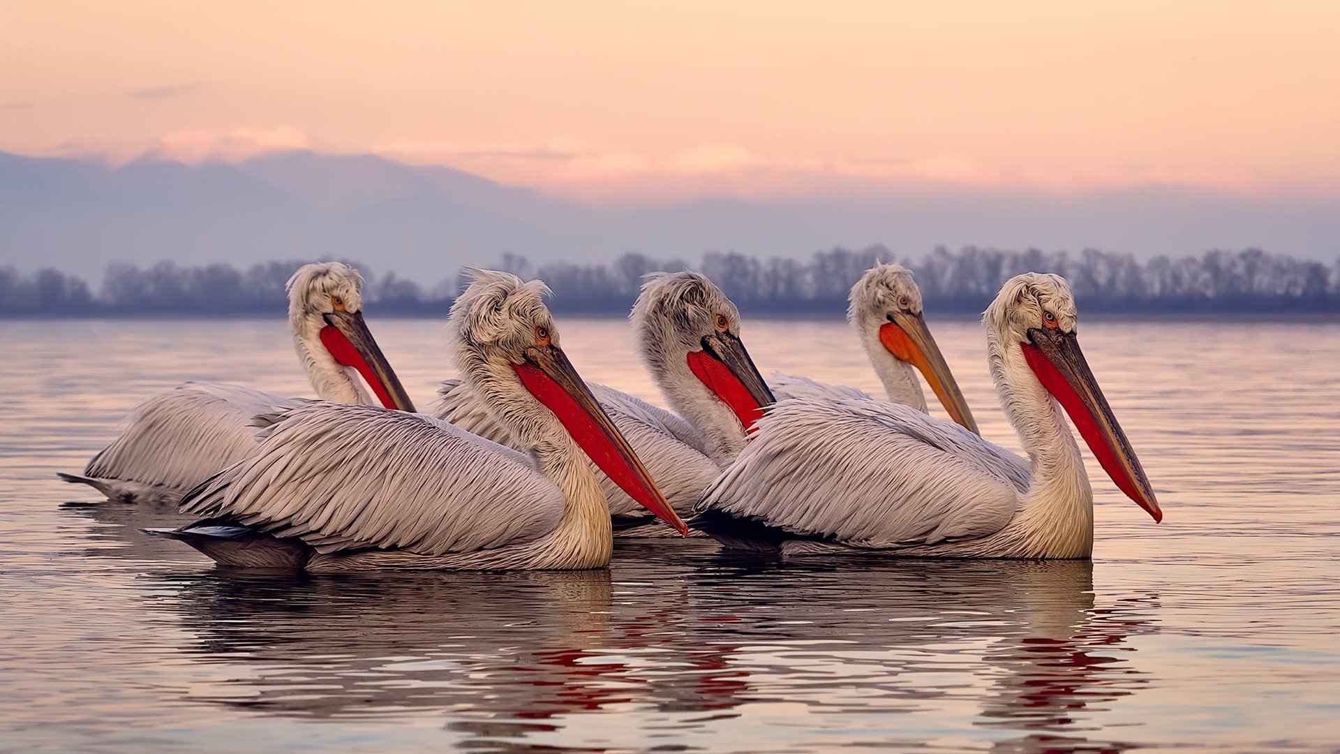 开云体育视频直播-哥伦比亚队在巴黎奥运会比赛中多次通过团队配合得分，哥伦比亚夺冠
