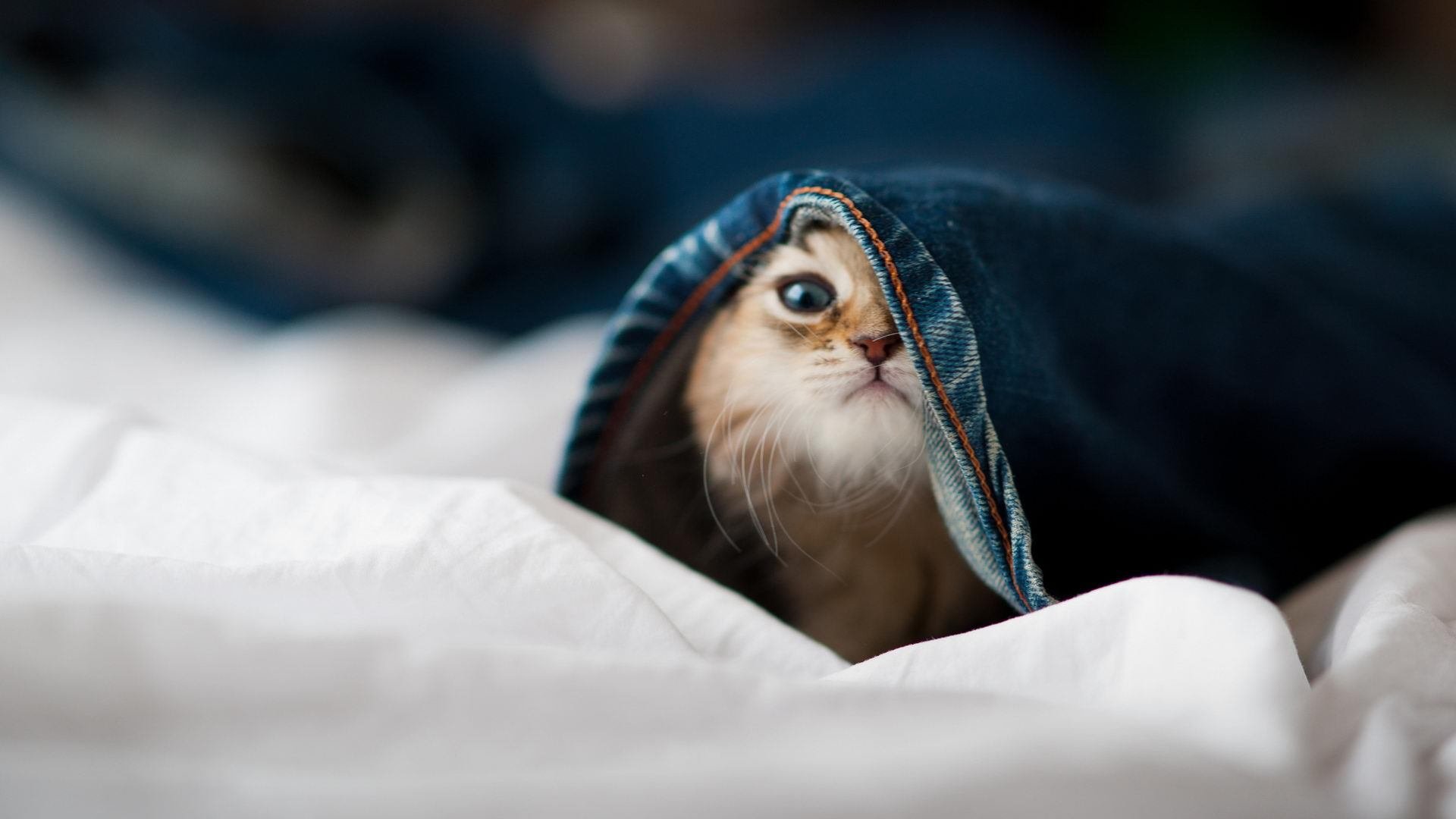 墨西哥队在巴黎奥运会比赛中多次通过二次进攻得分,墨西哥奥运足球队名单