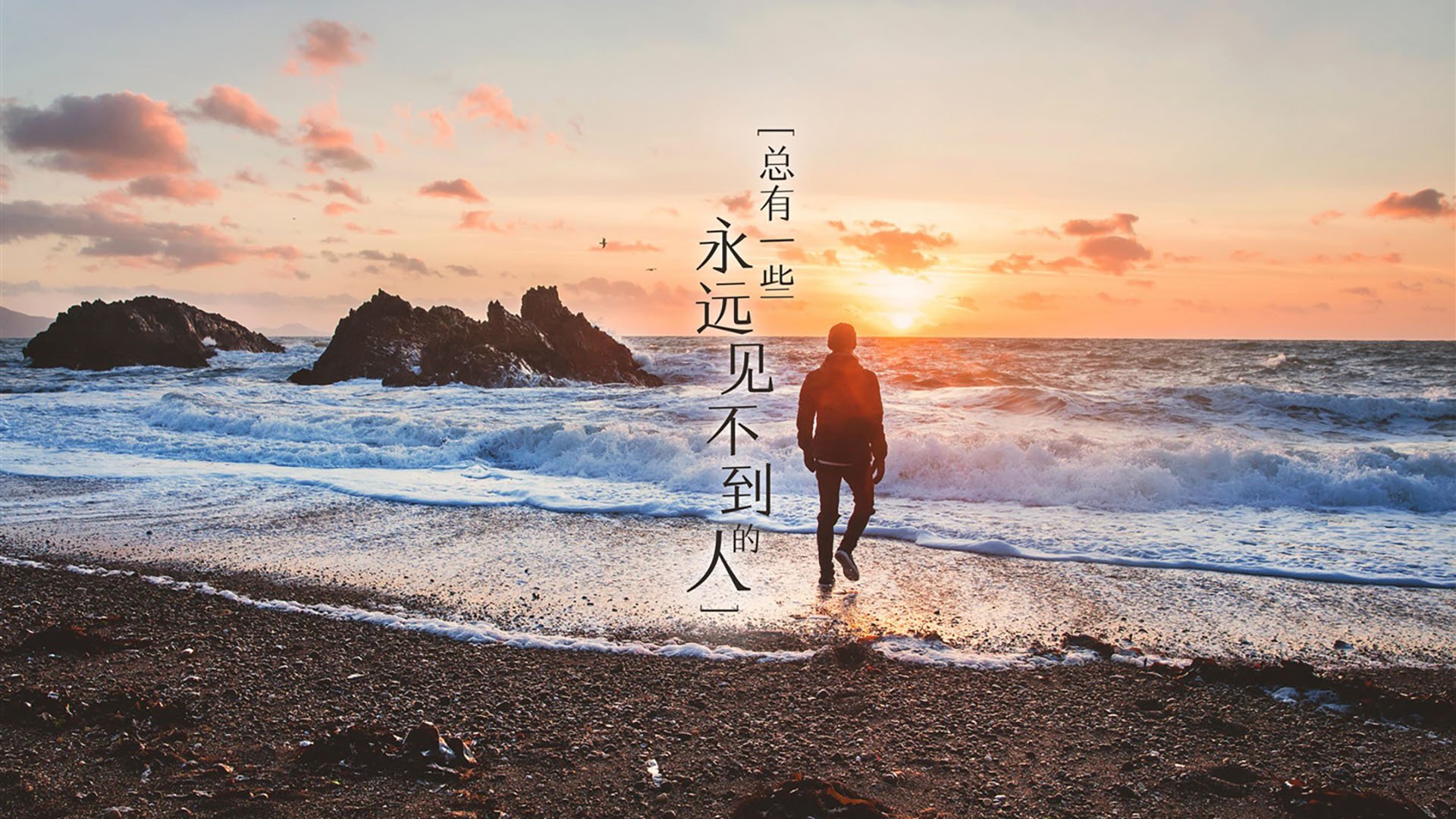 沙尔克升入德乙,球迷期待回顶级,沙尔克04德乙