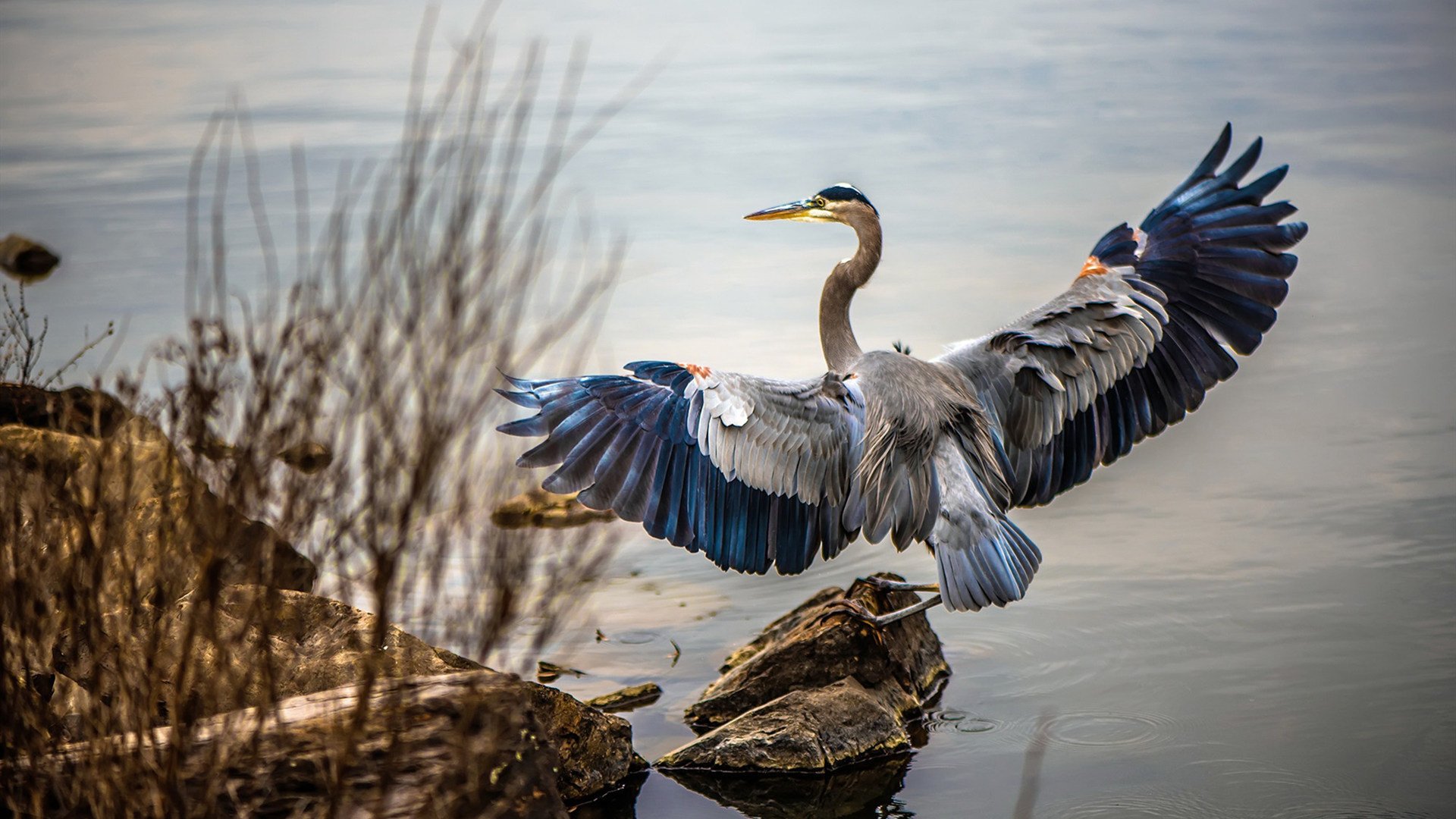 皇马主席弗洛伦蒂诺荣膺环球足球最佳主席奖，皇马赞助flyemirates