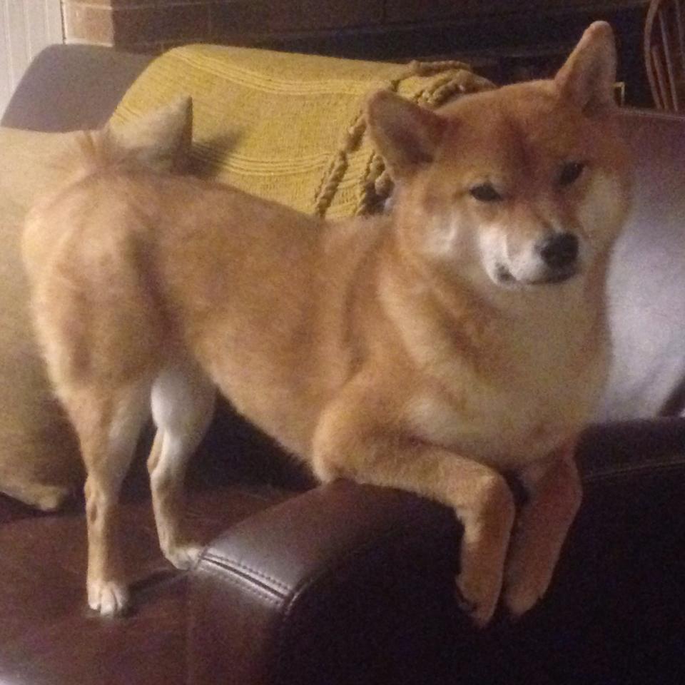 开云全站-莱加内斯击败拉科鲁尼亚，挽回颓势，莱加内斯vs马拉加