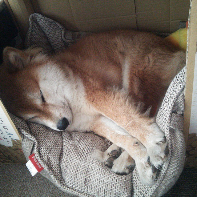 开云在线直播-阿贾克斯客场击败瓦埃雷尔实现六连胜，阿贾克斯主帅