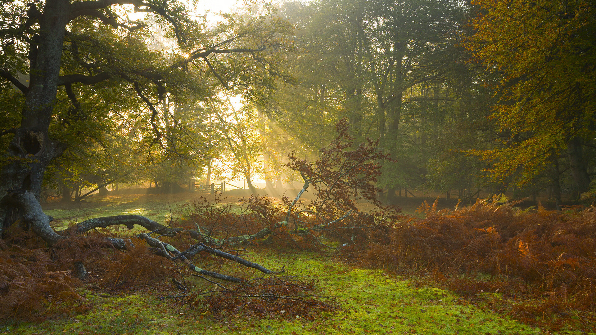 阿贾克斯客场战胜RSSS,取得胜利,阿贾克斯的比赛