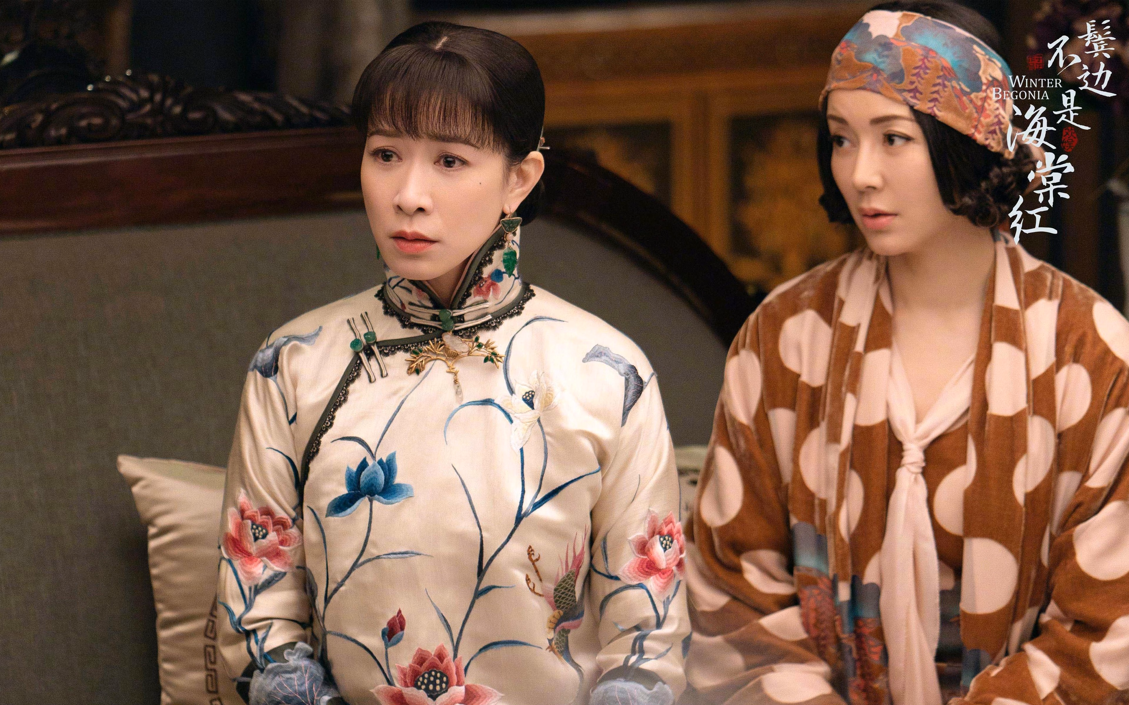 世界青少年翼装飞行比赛在山城惊艳全场,翼装飞行世界纪录