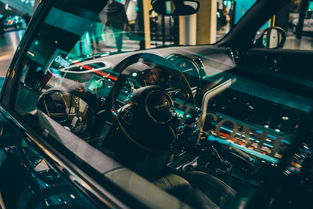 开云体育官方网入口-世界高速滑轮挑战赛中国少年展现实力，世界滑轮比赛视频