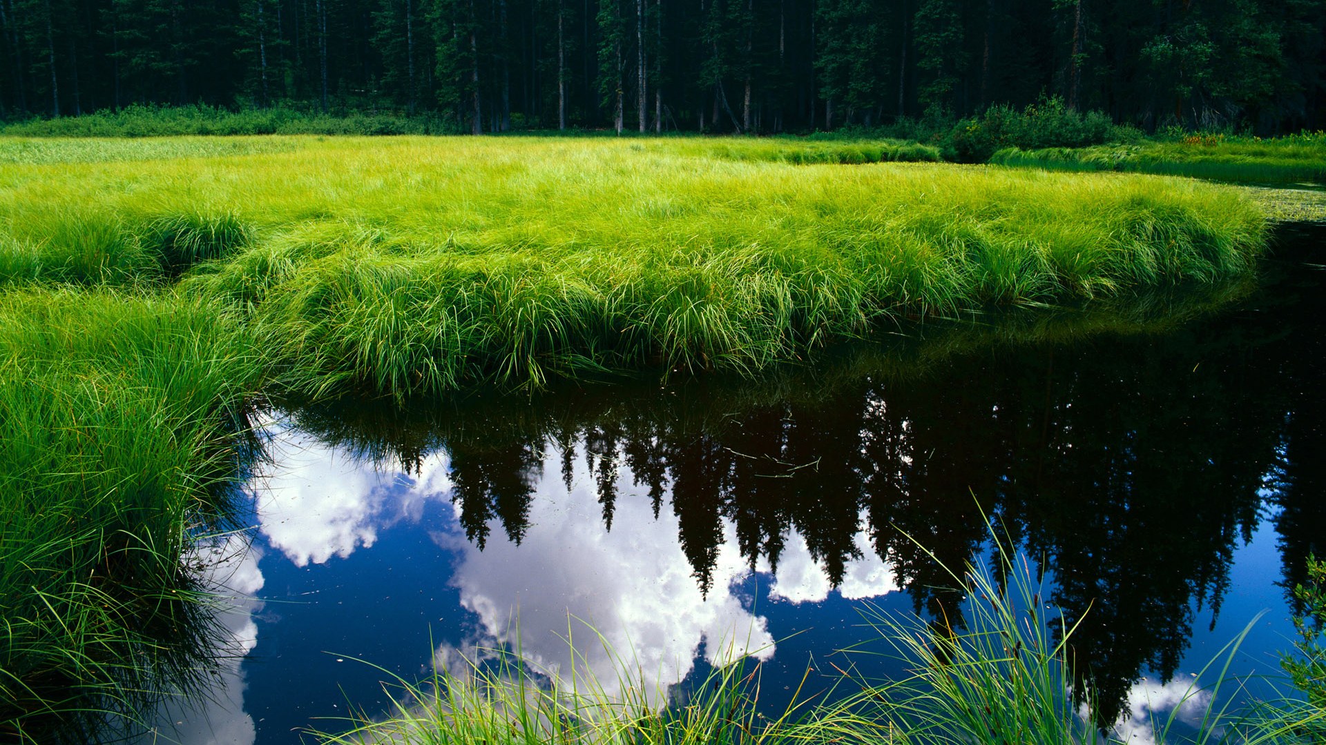 开云官方网页登录-全国男子拔河锦标赛冀鲁激烈鏖战，中国拔河队2018视频