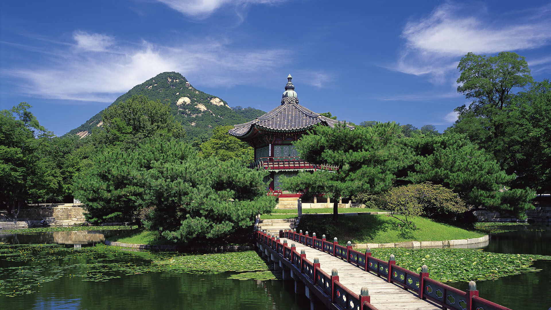 开云中国大陆-CBA联赛推进裁判职业化培训机制，2021篮球裁判员培训报名