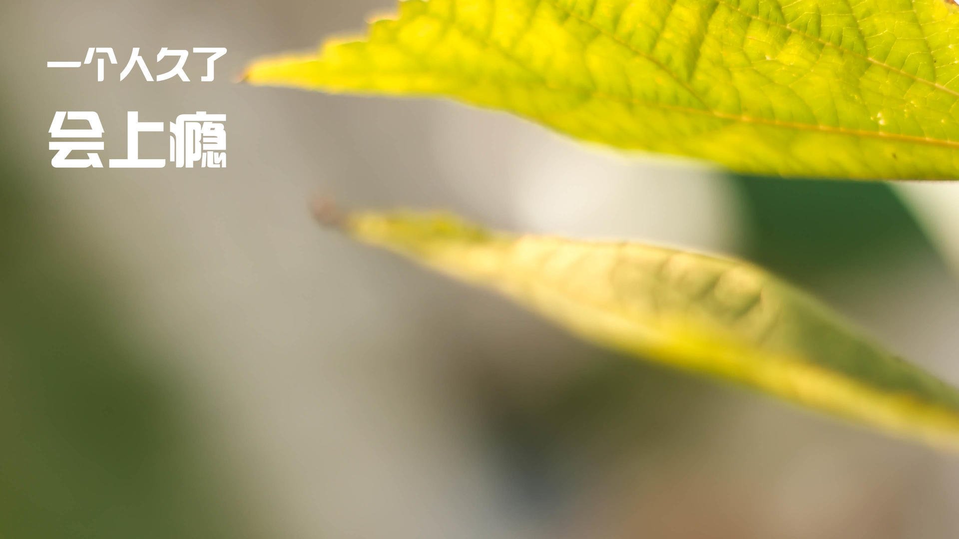 Chinese Taipei：未来发展如何增强团队协作与战术创新