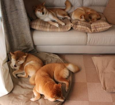 开云官网APP下载-中国女足海外拉练表现不俗，中国女足遭遇盘外招