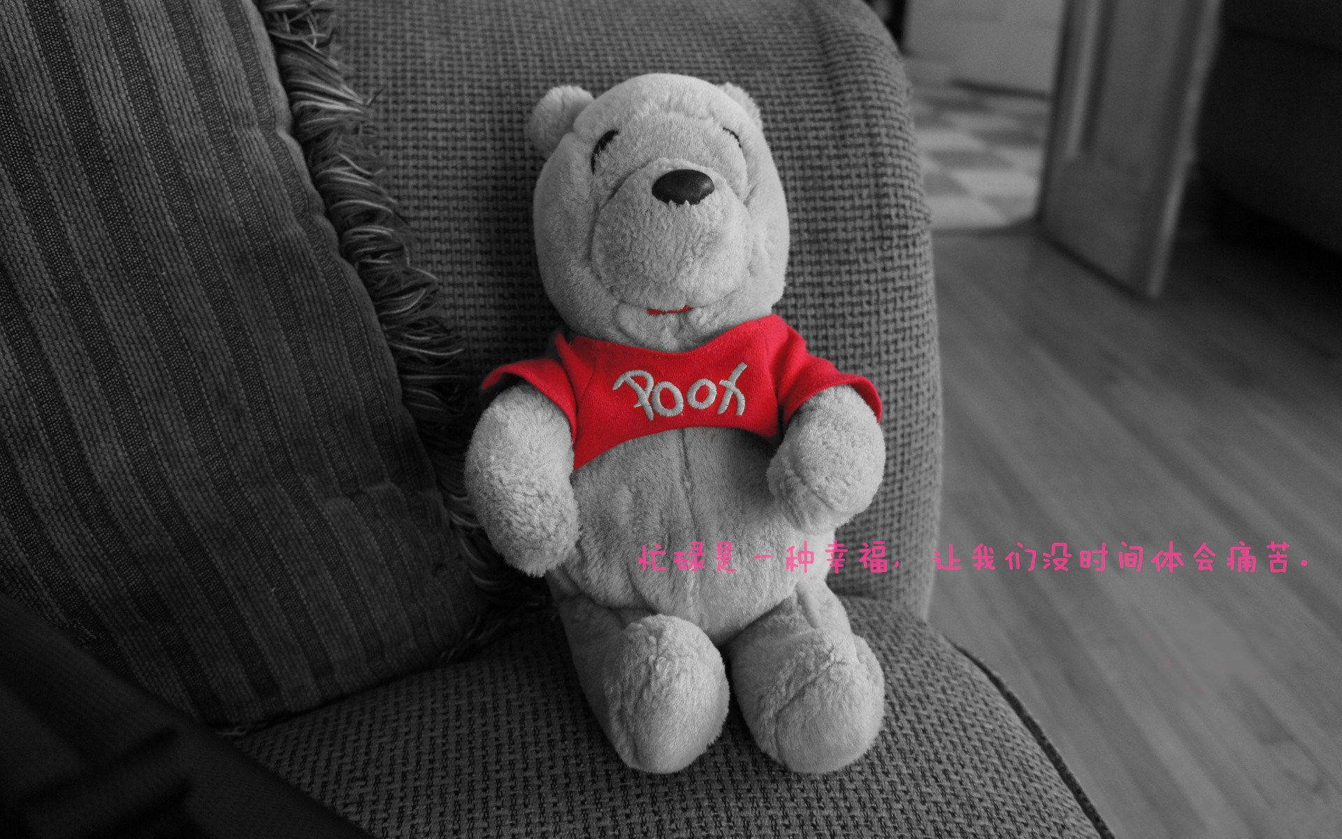 中小学体测标准修订稿将于下半年实施,中小学体测项目