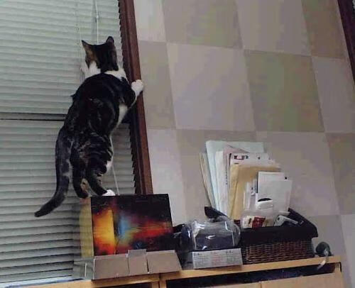 体育新闻中心发布智能运动健康监测平台，智能体育运动公司