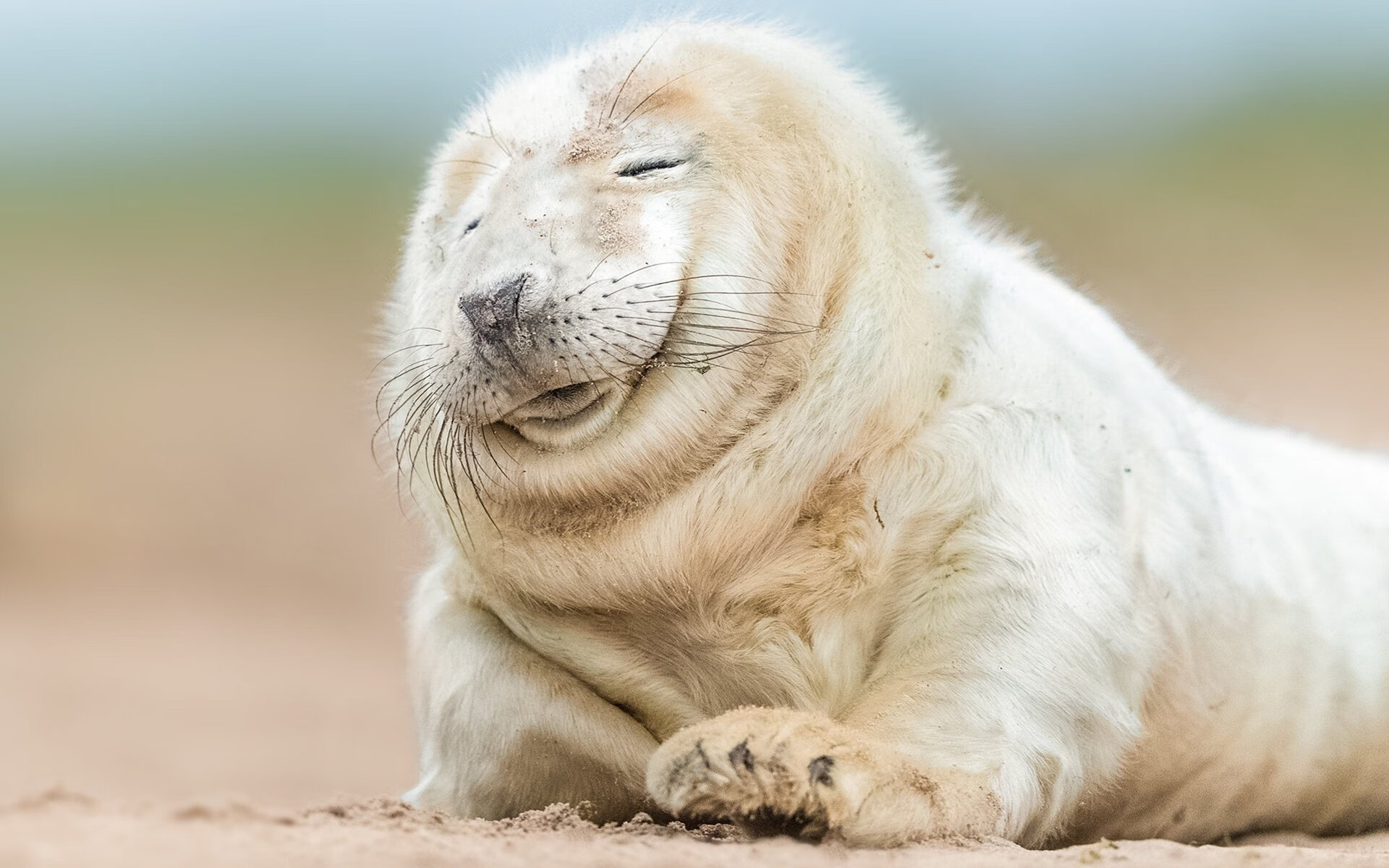 kaiyun官方入口登录-凯恩·瑞安：全黑队反击体系中的关键一环，凯恩化身泰瑞昂