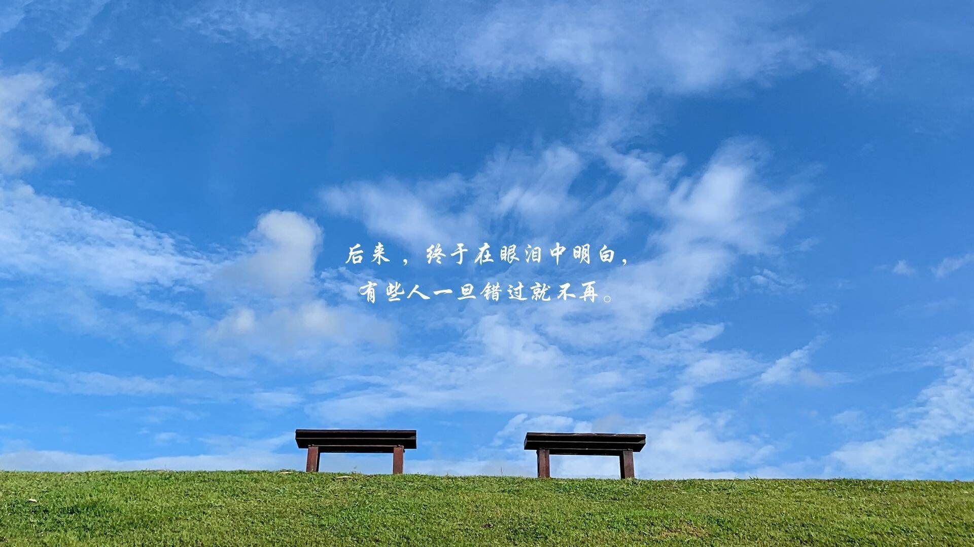 苏炳添开设个人田径训练营,苏炳添训练团队